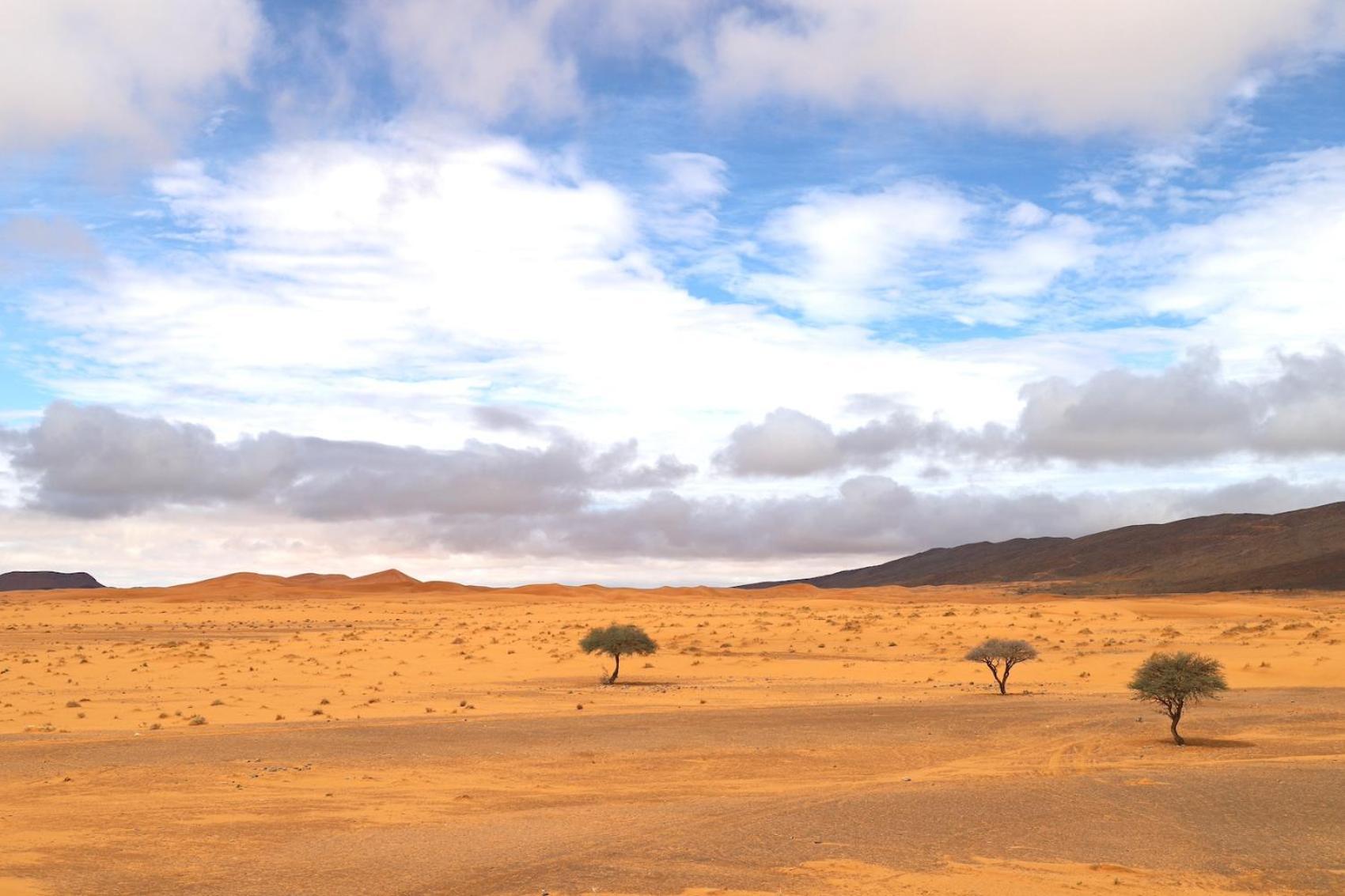 Porte De Sahara Ouzina Eksteriør bilde